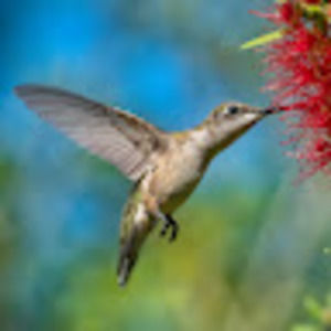 Meet your Posher, Marylea